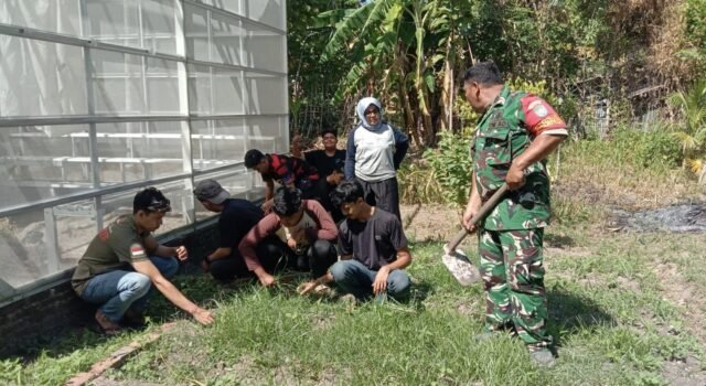 Bersihkan Pekarangan Posyandu Bersama Ibu PKK, Babinsa Balohan Wujudkan Kebun Gizi Percontohan