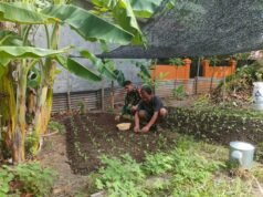 Dukung Ketahanan Pangan, Babinsa Kuta Ateuh Bantu Warga Budidaya Sayuran