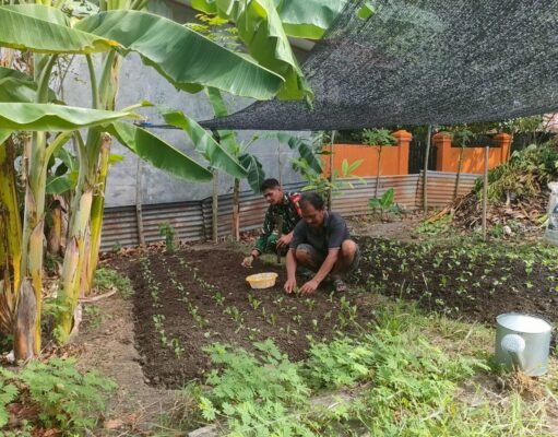 Dukung Ketahanan Pangan, Babinsa Kuta Ateuh Bantu Warga Budidaya Sayuran