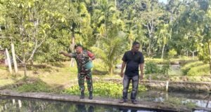 Babinsa Batee Shoek Sambangi Pembudidaya Ikan Air Tawar, Wujud Nyata Pendampingan Ketahanan Pangan