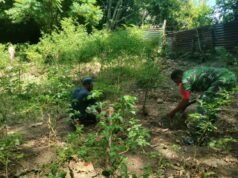 Bersihkan Lahan Perkebunan, Babinsa Kuta Barat Tekankan Pentingnya Ketahanan Pangan
