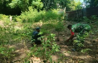 Bersihkan Lahan Perkebunan, Babinsa Kuta Barat Tekankan Pentingnya Ketahanan Pangan