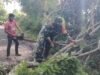 Gotong Royong Bersihkan Pohon Tumbang, Babinsa Paya Seunara Wujudkan Kemanunggalan TNI-Rakyat