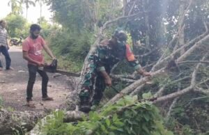 Gotong Royong Bersihkan Pohon Tumbang, Babinsa Paya Seunara Wujudkan Kemanunggalan TNI-Rakyat