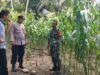 Cegah Serangan Hama, Babinsa Beurawang Berikan Arahan Teknis kepada Petani