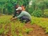 Bentuk Kepedulian TNI, Babinsa Bantu Lancarkan Kegiatan Pertanian Warga