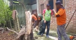 Babinsa Paya Bersama Warga dan BPD Bersihkan Kayu Tumbang di Rumah Warga Akibat Angin Kencang