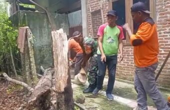 Babinsa Paya Bersama Warga dan BPD Bersihkan Kayu Tumbang di Rumah Warga Akibat Angin Kencang