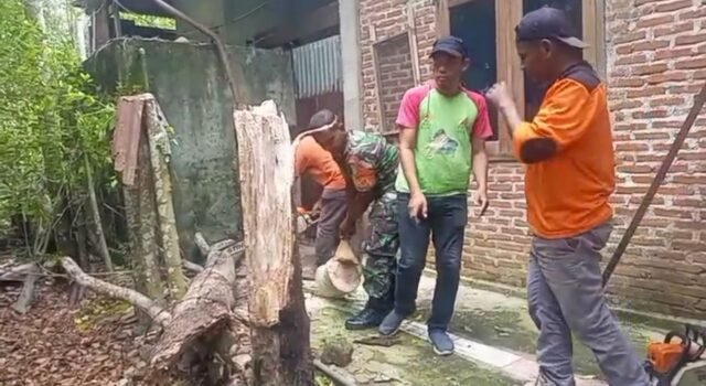 Babinsa Paya Bersama Warga dan BPD Bersihkan Kayu Tumbang di Rumah Warga Akibat Angin Kencang