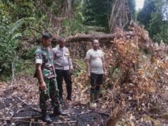 Cegah Karhutla dan Kerusakan Hutan, Babinsa Bersama Bhabinkamtibmas Tegaskan Larangan Bakar Lahan di Jaboi