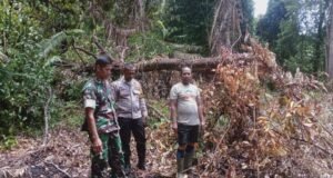 Cegah Karhutla dan Kerusakan Hutan, Babinsa Bersama Bhabinkamtibmas Tegaskan Larangan Bakar Lahan di Jaboi