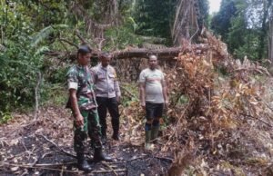 Cegah Karhutla dan Kerusakan Hutan, Babinsa Bersama Bhabinkamtibmas Tegaskan Larangan Bakar Lahan di Jaboi