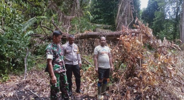 Cegah Karhutla dan Kerusakan Hutan, Babinsa Bersama Bhabinkamtibmas Tegaskan Larangan Bakar Lahan di Jaboi