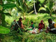 Dampingi Petani Tumpang Sari, Babinsa Jaboi dan Bhabinkamtibmas Dorong Tanah Lebih Produktif
