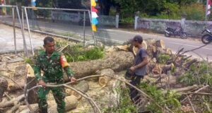 Demi Keselamatan Warga, Babinsa Sertu Junaidi Bersama Warga Pangkas Dahan Pohon Berbahaya