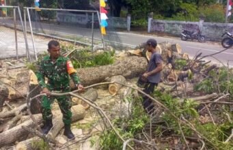 Demi Keselamatan Warga, Babinsa Sertu Junaidi Bersama Warga Pangkas Dahan Pohon Berbahaya