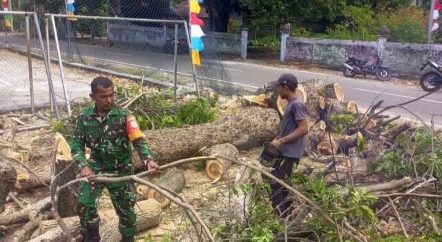 Demi Keselamatan Warga, Babinsa Sertu Junaidi Bersama Warga Pangkas Dahan Pohon Berbahaya