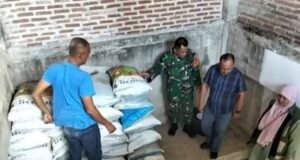 Babinsa Dampingi Distribusi Pupuk Bantuan Dinas Pertanian, 2 Ton Siap Disalurkan ke 37 Petani Gampong Kuta Timu