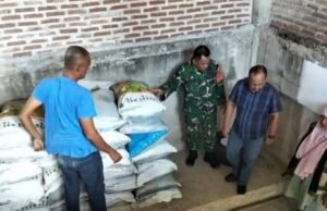 Babinsa Dampingi Distribusi Pupuk Bantuan Dinas Pertanian, 2 Ton Siap Disalurkan ke 37 Petani Gampong Kuta Timu