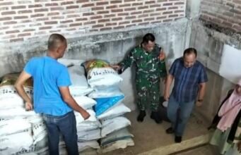 Babinsa Dampingi Distribusi Pupuk Bantuan Dinas Pertanian, 2 Ton Siap Disalurkan ke 37 Petani Gampong Kuta Timu