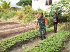 Tanam Sayur Bersama Warga, Babinsa Keuneukai Tekankan Pentingnya Ketahanan Pangan