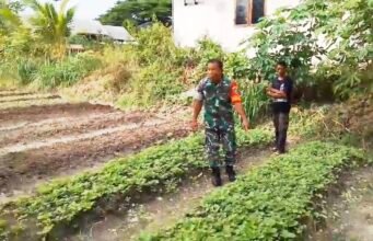 Tanam Sayur Bersama Warga, Babinsa Keuneukai Tekankan Pentingnya Ketahanan Pangan