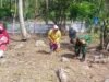 Dukung Swasembada Pangan, Babinsa Paya Dampingi Kelompok Tani Tanam Bibit Jagung Manis