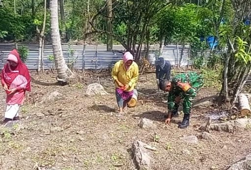 Dukung Swasembada Pangan, Babinsa Paya Dampingi Kelompok Tani Tanam Bibit Jagung Manis