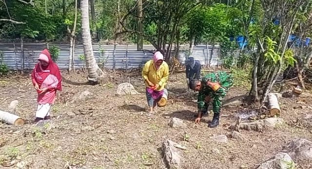 Dukung Swasembada Pangan, Babinsa Paya Dampingi Kelompok Tani Tanam Bibit Jagung Manis