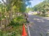 Babinsa Krueng Raya Gotong Royong Bersama PLN & Warga, Amankan Jaringan Listrik dari Dahan Pohon