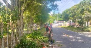 Babinsa Krueng Raya Gotong Royong Bersama PLN & Warga, Amankan Jaringan Listrik dari Dahan Pohon