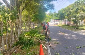 Babinsa Krueng Raya Gotong Royong Bersama PLN & Warga, Amankan Jaringan Listrik dari Dahan Pohon