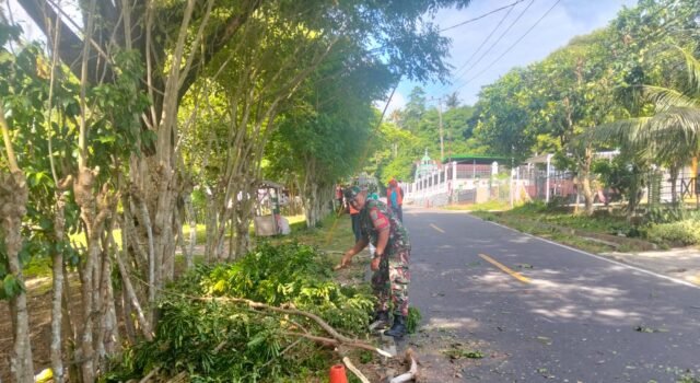 Babinsa Krueng Raya Gotong Royong Bersama PLN & Warga, Amankan Jaringan Listrik dari Dahan Pohon