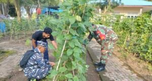 Babinsa Ujong Kareung Pantau Kebun Warga, Dukung Ketahanan Pangan Lewat Pemanfaatan Lahan