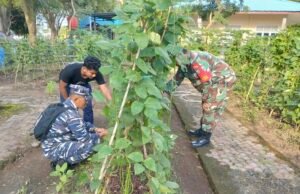 Babinsa Ujong Kareung Pantau Kebun Warga, Dukung Ketahanan Pangan Lewat Pemanfaatan Lahan