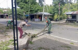 Kemanunggalan TNI-Rakyat: Babinsa dan Warga Bersihkan Jalan Demi Kenyamanan Pengguna Jalan