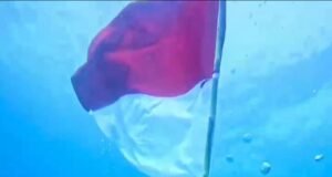 Semarak HUT RI ke-81, Polsek Sukakarya Bersama Keuchik Gp.Iboih Kibarkan Merah Putih di Bawah Laut.