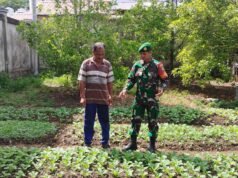 Pantau Ketahanan Pangan Warga, Babinsa Kuta Ateuh Pastikan Ketersediaan Pangan Tetap Terjaga di Tengah Cuaca Kemarau Ekstrem