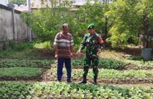 Pantau Ketahanan Pangan Warga, Babinsa Kuta Ateuh Pastikan Ketersediaan Pangan Tetap Terjaga di Tengah Cuaca Kemarau Ekstrem