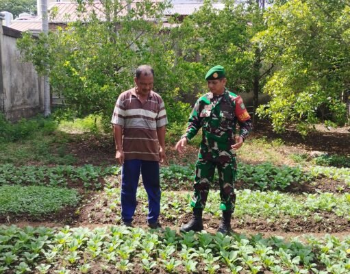 Pantau Ketahanan Pangan Warga, Babinsa Kuta Ateuh Pastikan Ketersediaan Pangan Tetap Terjaga di Tengah Cuaca Kemarau Ekstrem