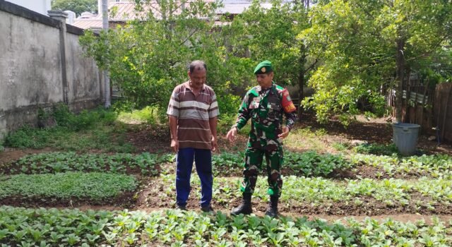 Pantau Ketahanan Pangan Warga, Babinsa Kuta Ateuh Pastikan Ketersediaan Pangan Tetap Terjaga di Tengah Cuaca Kemarau Ekstrem
