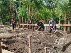 Wujud Kemanunggalan TNI-Rakyat, Babinsa Kuta Ateuh Ringankan Beban Warga Bangun Rumah