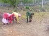 Babinsa Paya Bantu Warga Tanam Bibit Jagung, Wujudkan Kepedulian TNI terhadap Ketahanan Pangan Diwilayah