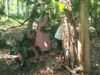 Babinsa Krueng Raya Bantu Bersihkan Kebun Warga, Pererat Kemanunggalan TNI-Rakyat