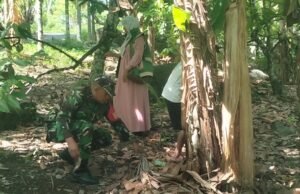 Babinsa Krueng Raya Bantu Bersihkan Kebun Warga, Pererat Kemanunggalan TNI-Rakyat
