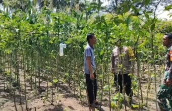 Sinergi Dukung Ketahanan Pangan, Babinsa Berawang dan Bhabinkamtibmas Pantau Potensi Lahan Warga