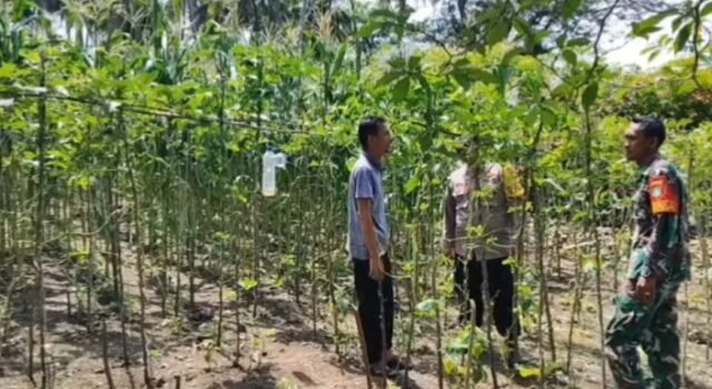 Sinergi Dukung Ketahanan Pangan, Babinsa Berawang dan Bhabinkamtibmas Pantau Potensi Lahan Warga
