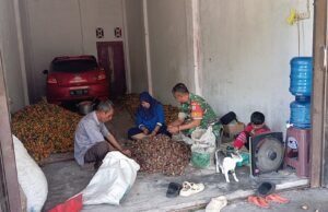 Babinsa Berbaur Sambil Bantu Masyarakat Mengupas Buah Pinang di Gampong Cot Abeuk