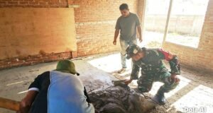 Babinsa Krueng Raya Bantu Pengecoran Lantai Rumah, Pererat Kebersamaan Bersama Warga