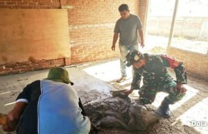 Babinsa Krueng Raya Bantu Pengecoran Lantai Rumah, Pererat Kebersamaan Bersama Warga